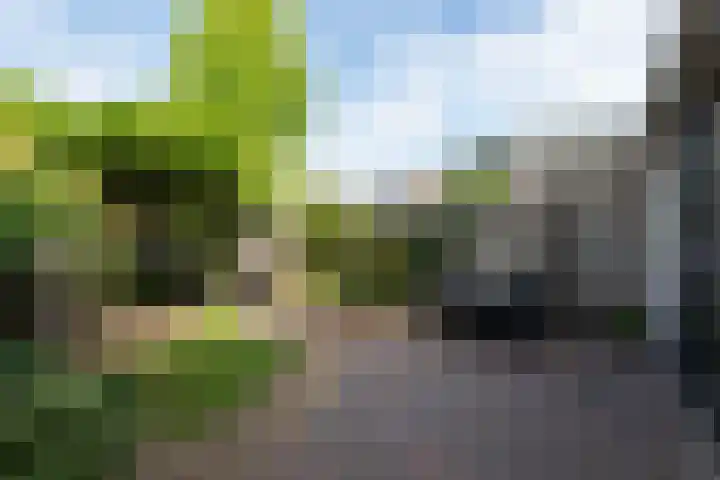 Drie Morgenland 19 Nijkerk thumbnail 35