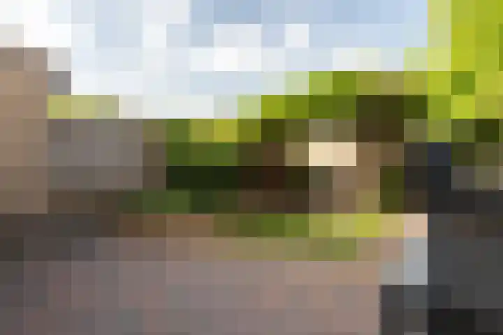 Drie Morgenland 19 Nijkerk thumbnail 36