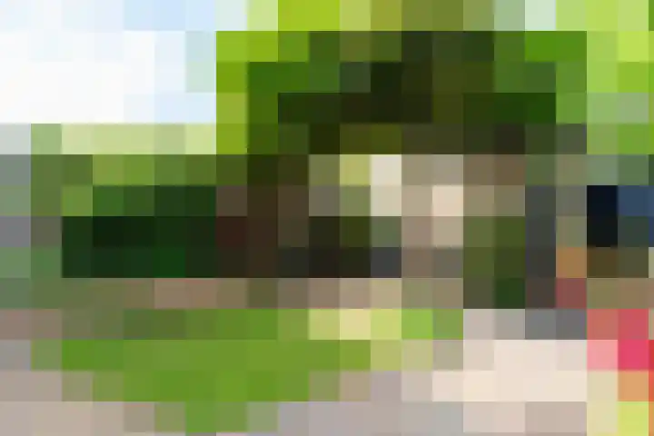 Drie Morgenland 19 Nijkerk thumbnail 37