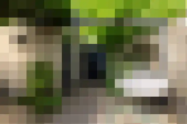 Drie Morgenland 19 Nijkerk thumbnail 38