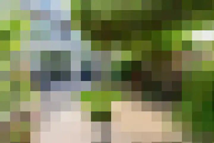 Drie Morgenland 19 Nijkerk thumbnail 39