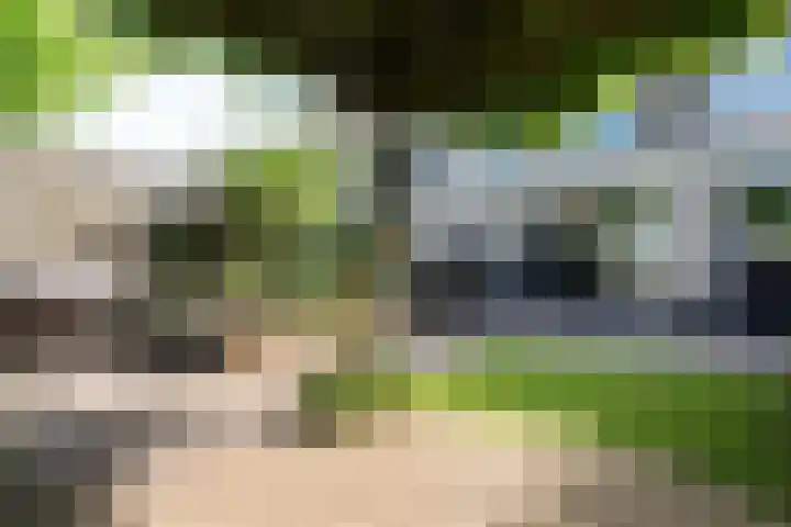 Drie Morgenland 19 Nijkerk thumbnail 40
