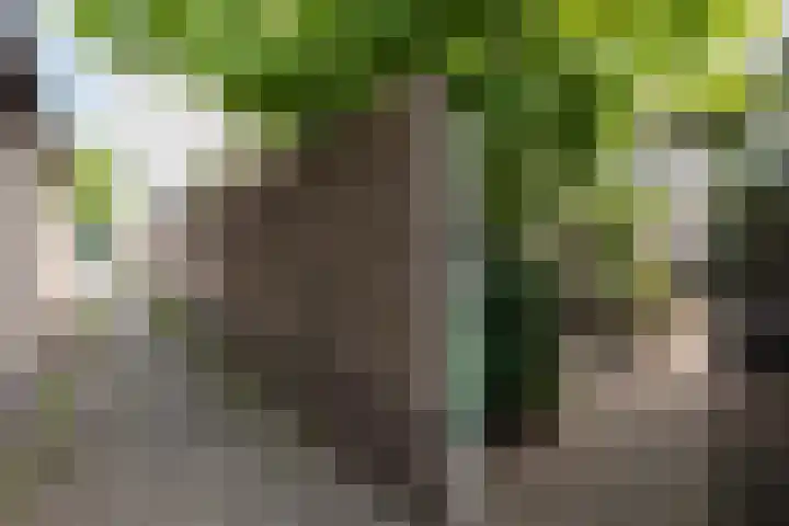 Drie Morgenland 19 Nijkerk thumbnail 41