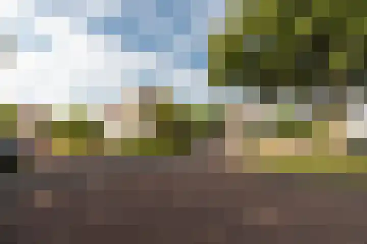 Drie Morgenland 19 Nijkerk thumbnail 43