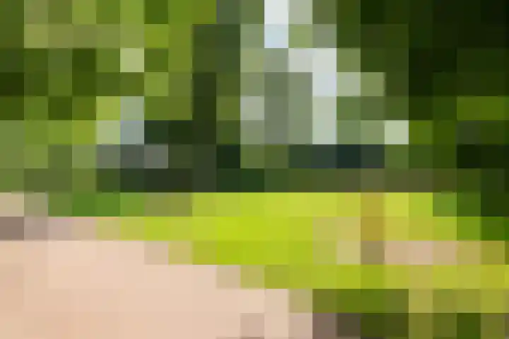 Drie Morgenland 19 Nijkerk thumbnail 44