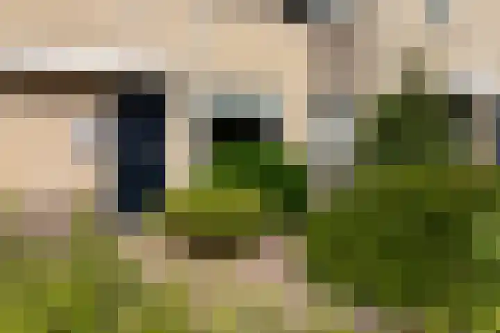 Drie Morgenland 19 Nijkerk thumbnail 6