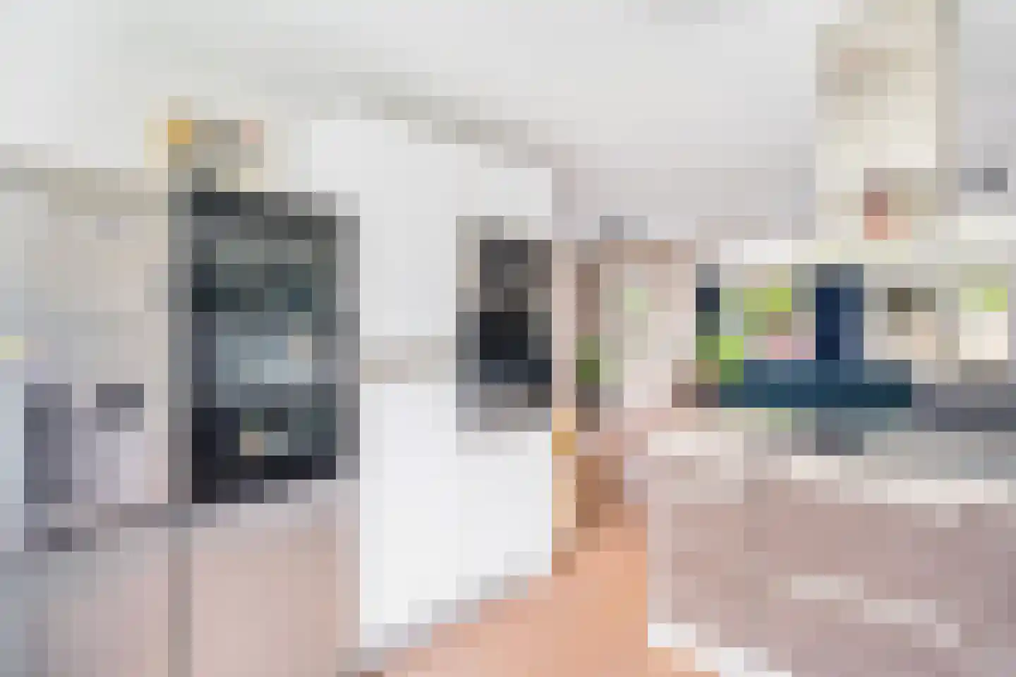 Drie Morgenland 23 Nijkerk thumbnail 20