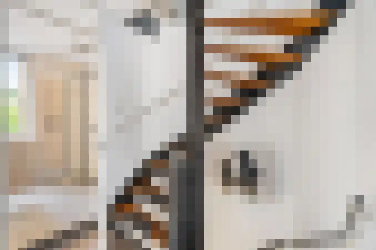 Drie Morgenland 23 Nijkerk thumbnail 21