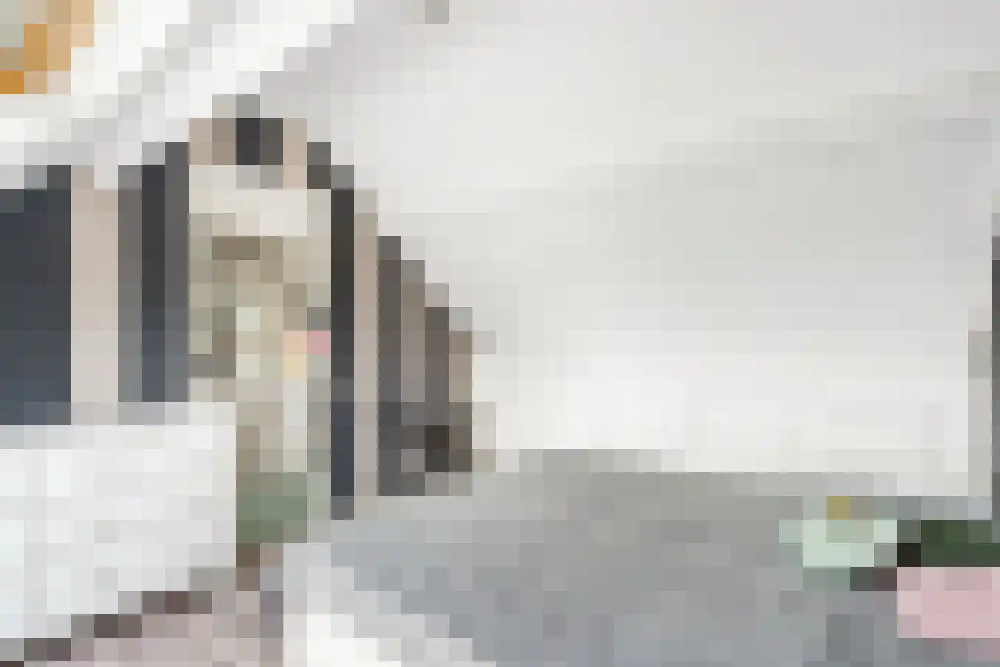 Drie Morgenland 23 Nijkerk thumbnail 32