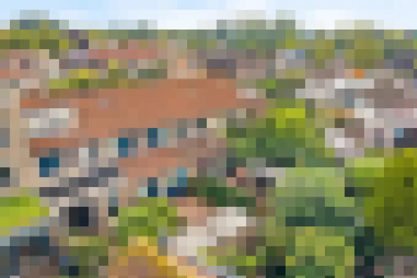 Drie Morgenland 23 Nijkerk thumbnail 37
