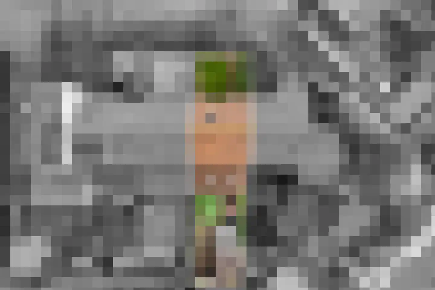 Drie Morgenland 23 Nijkerk thumbnail 38