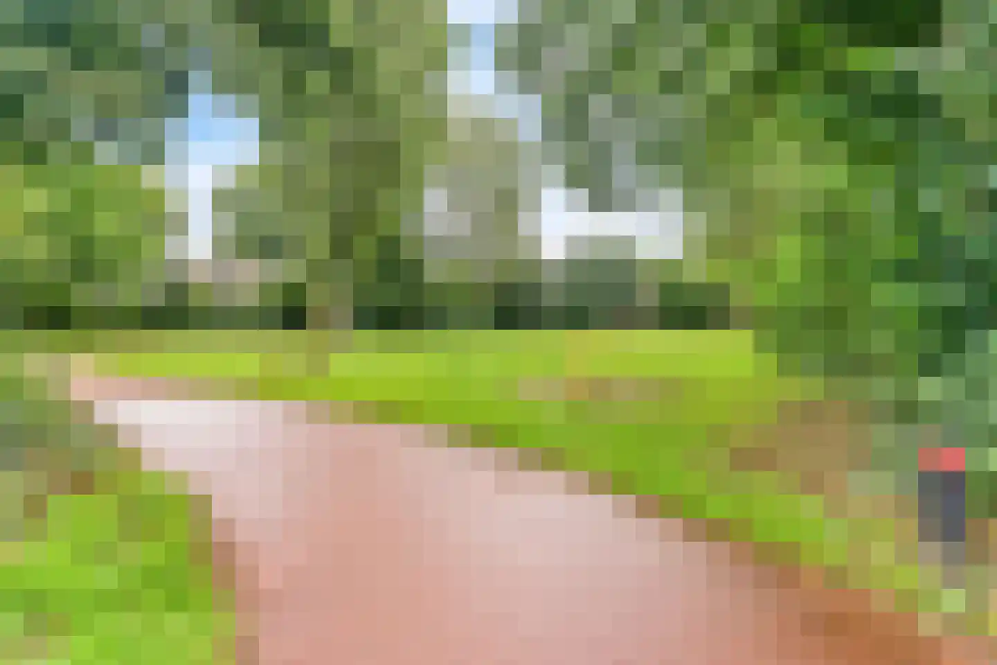 Drie Morgenland 23 Nijkerk thumbnail 39