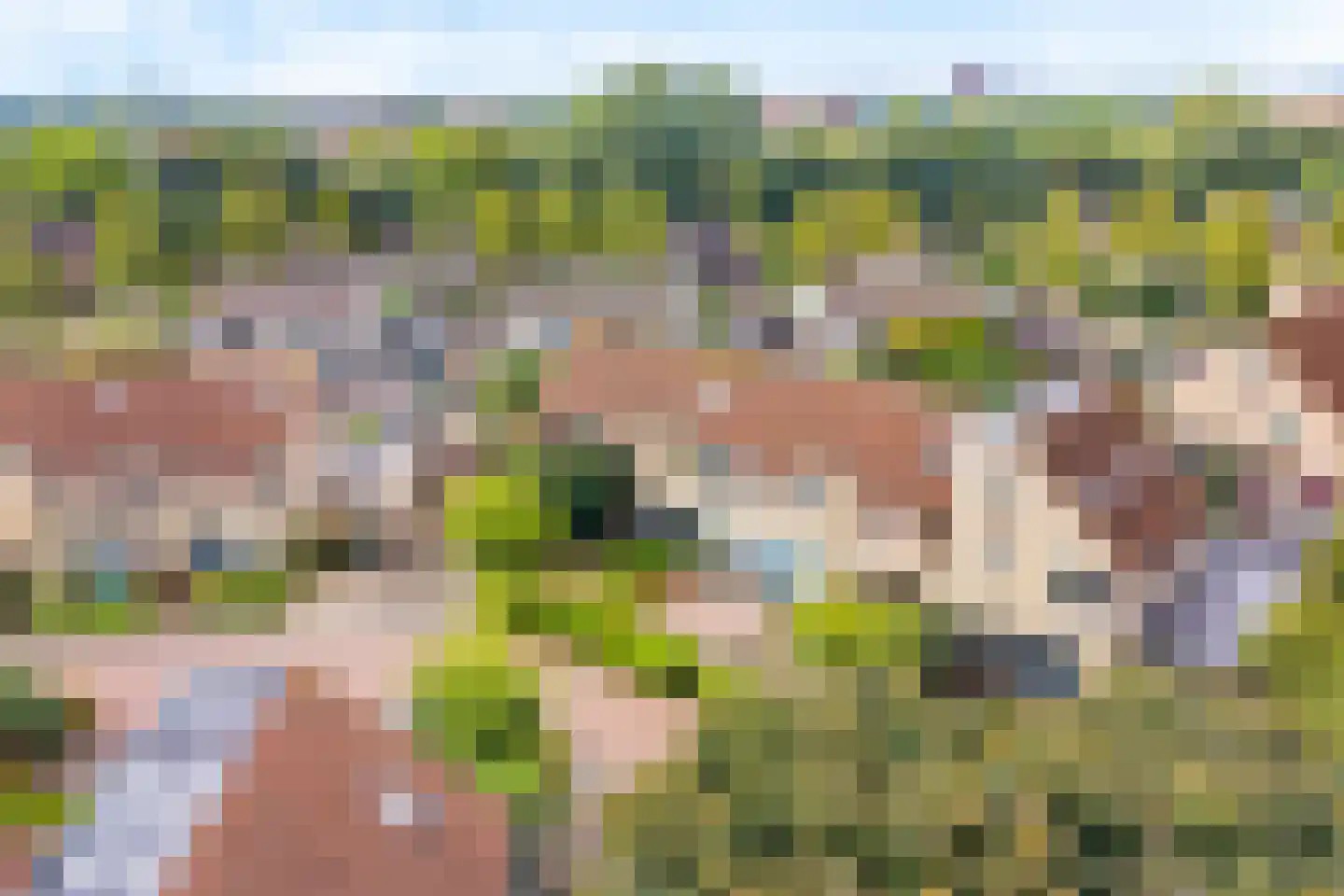 Drie Morgenland 23 Nijkerk thumbnail 8