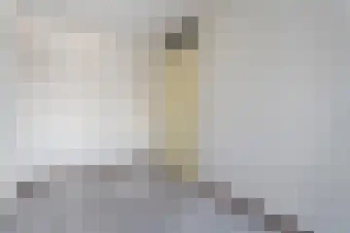 Drie Pistolengang 9 Zwolle thumbnail 10