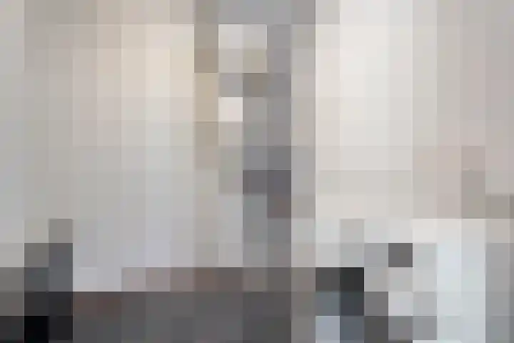 Drie Pistolengang 9 Zwolle thumbnail 14