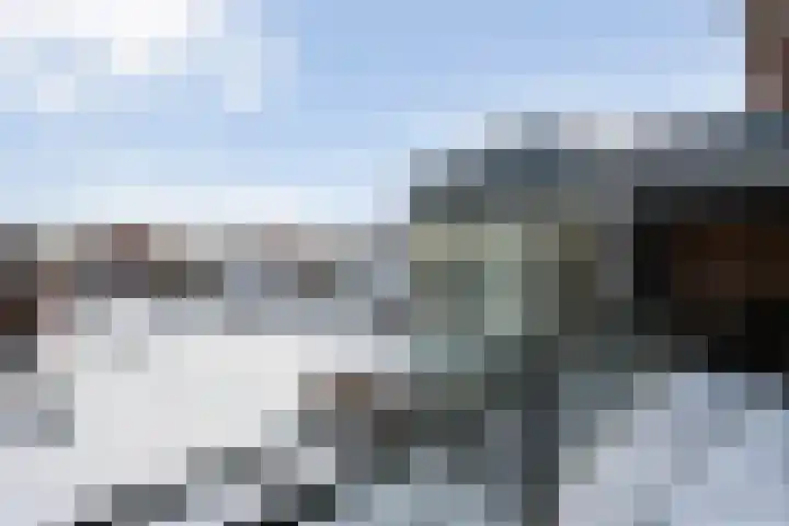 Drie Pistolengang 9 Zwolle thumbnail 22