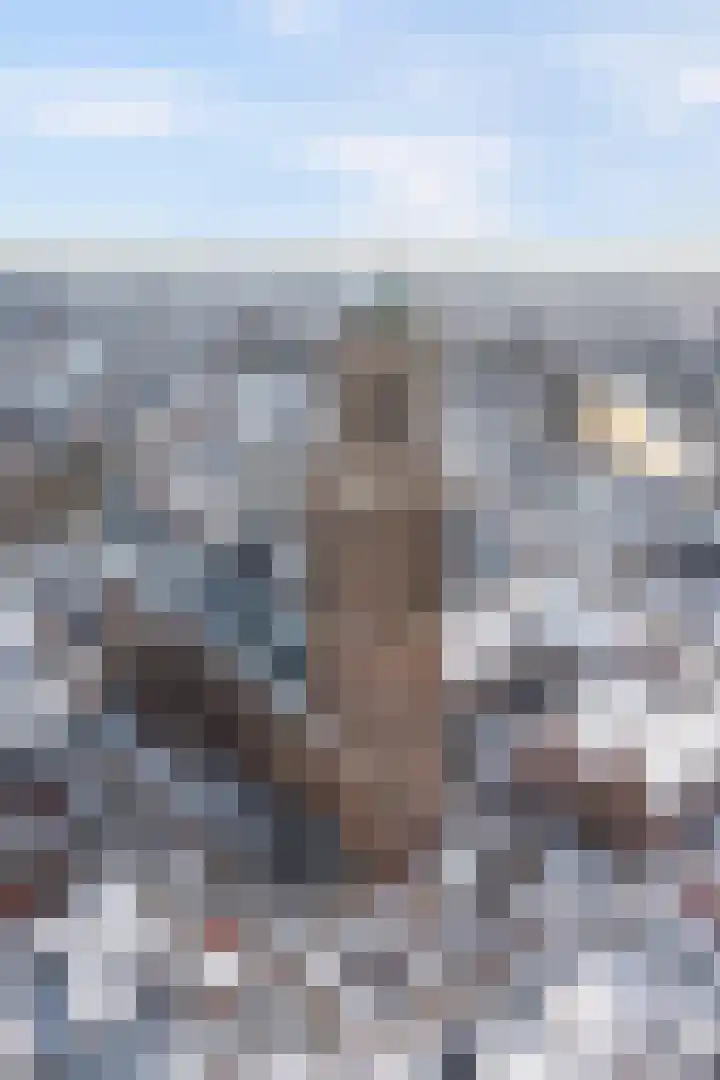 Drie Pistolengang 9 Zwolle thumbnail 29
