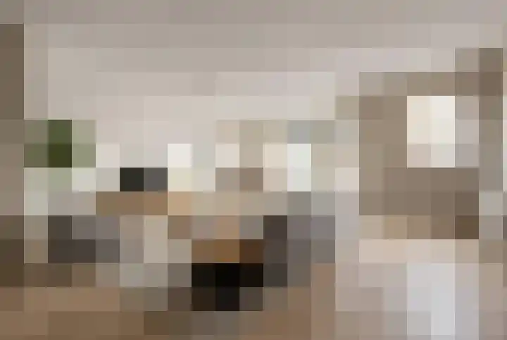 Drie Pistolengang 9 Zwolle thumbnail 4