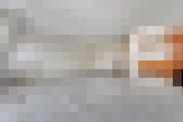 Drie Pistolengang 9 Zwolle thumbnail 5