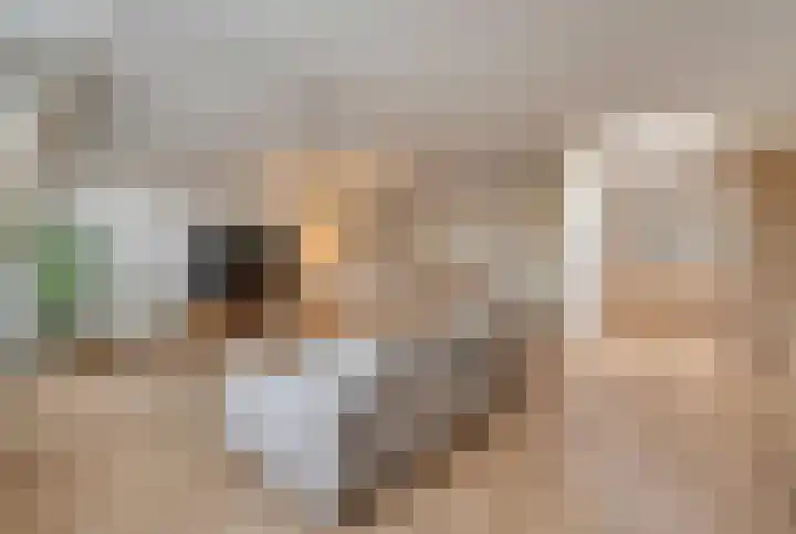 Drie Pistolengang 9 Zwolle thumbnail 8