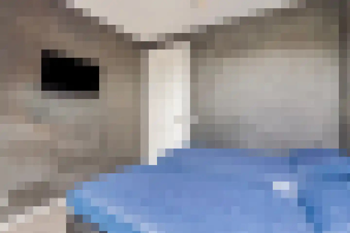 Drie Turkenlaan 21 B Koudekerke thumbnail 15