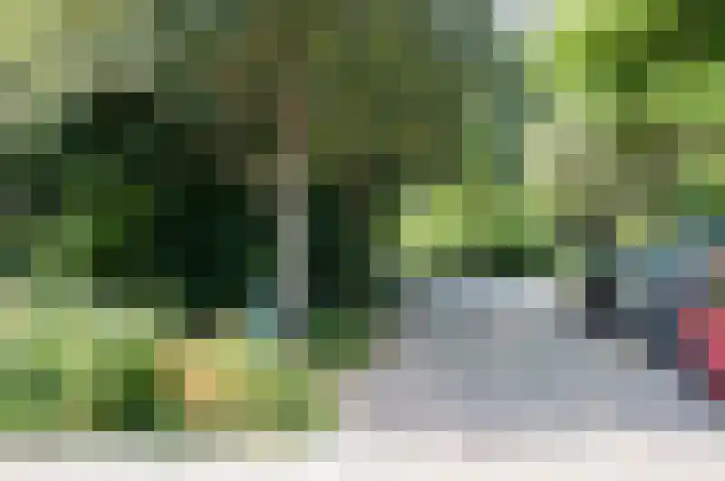 Drie Turkenlaan 21 B Koudekerke thumbnail 27