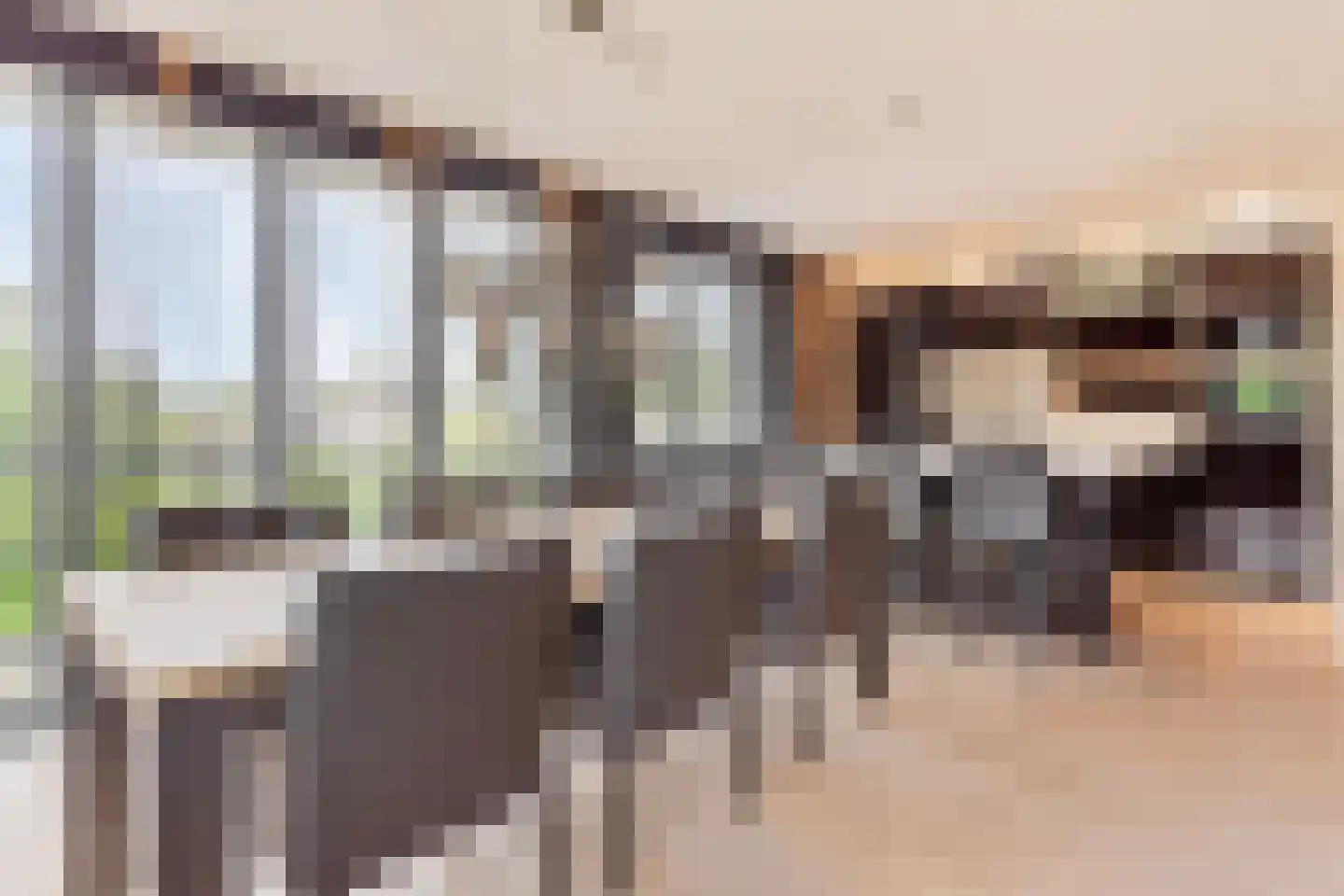 Drie Turkenlaan 21 B Koudekerke thumbnail 4