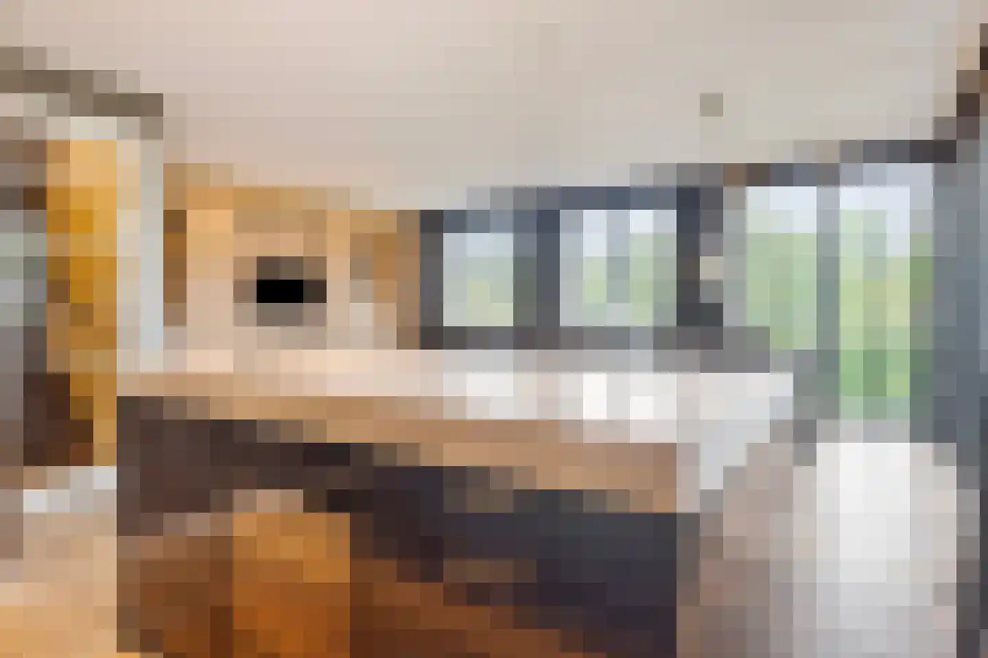 Drie Turkenlaan 21 B Koudekerke thumbnail 8