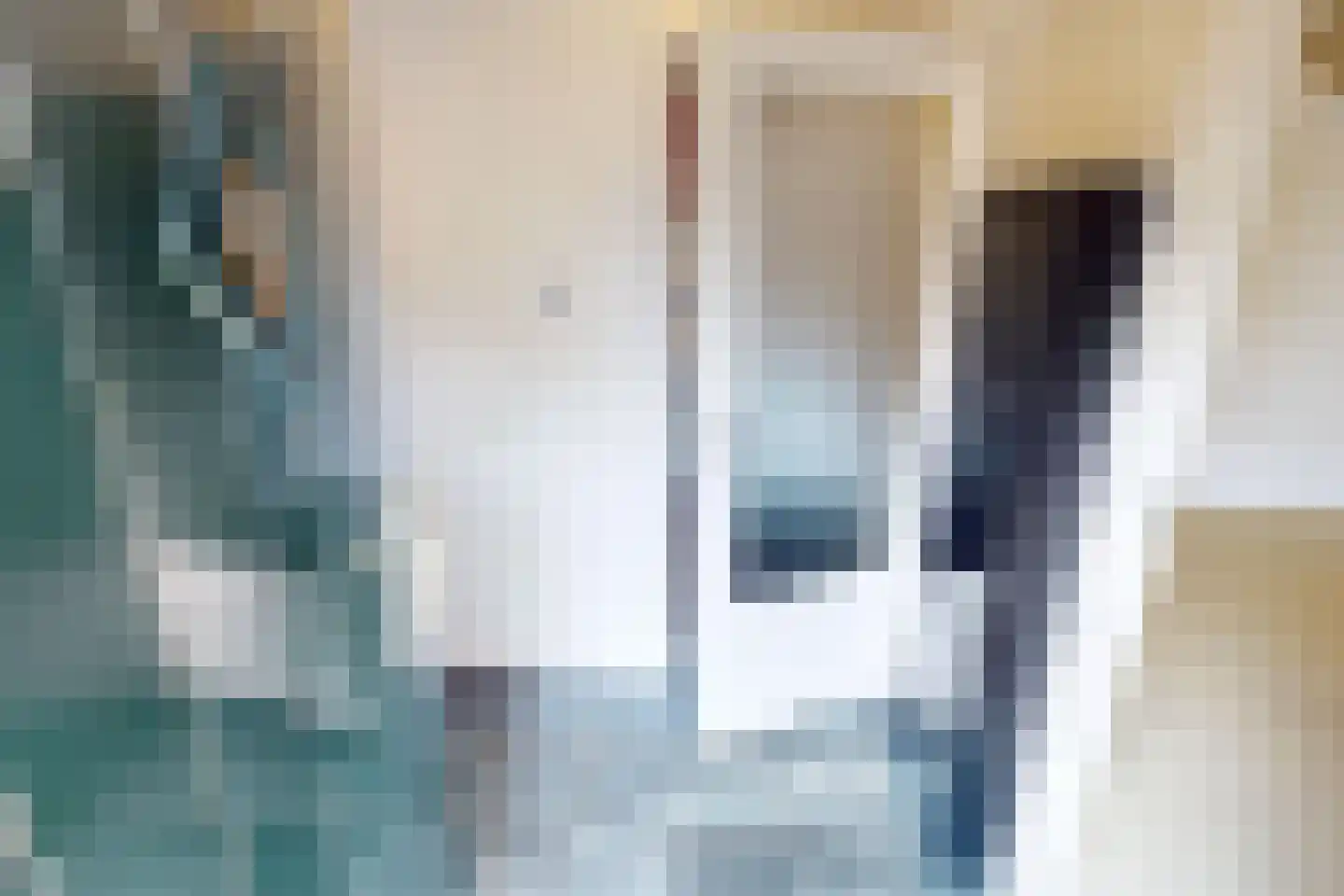 Drie Zalmen 14 Enkhuizen thumbnail 12