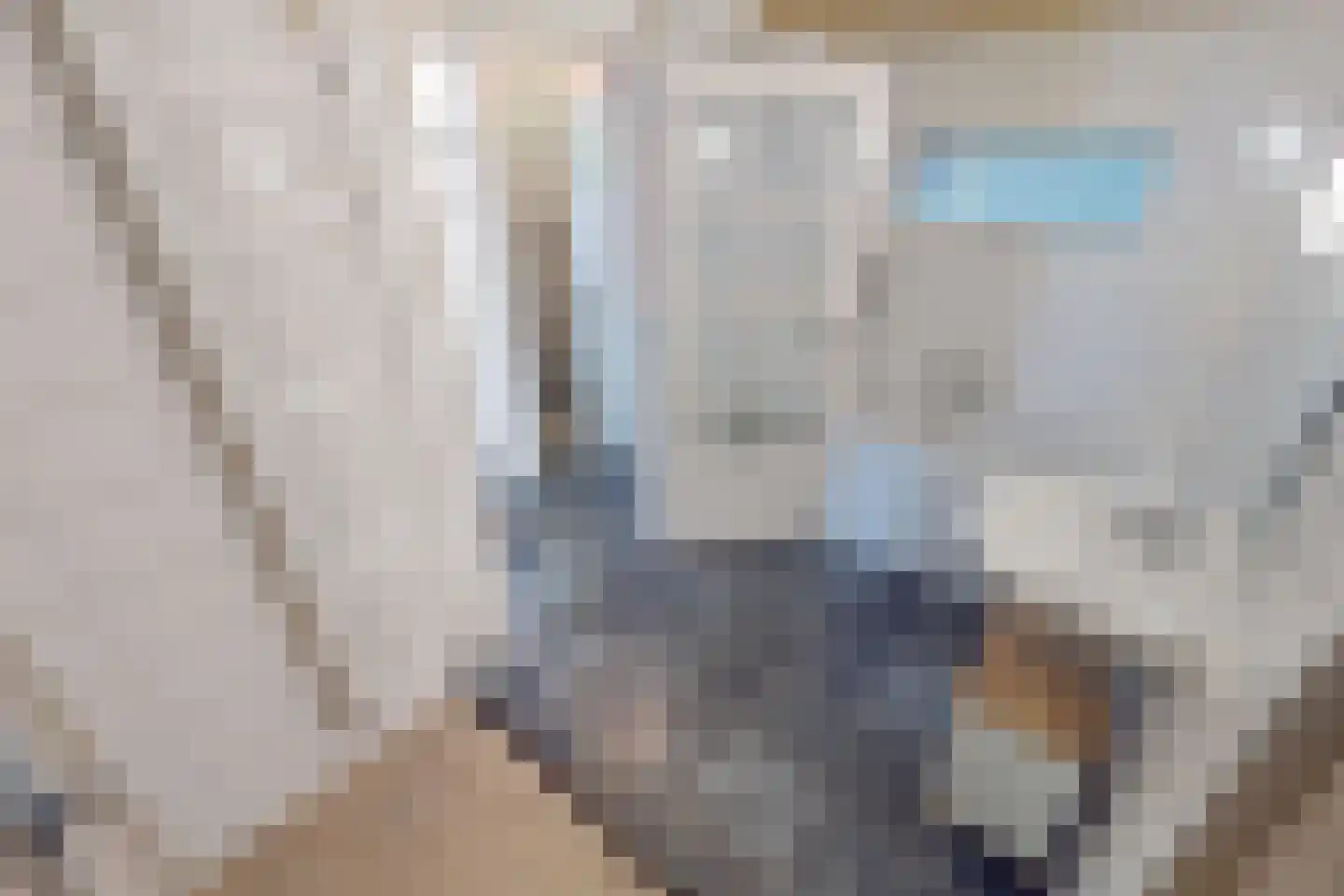 Drie Zalmen 14 Enkhuizen thumbnail 21