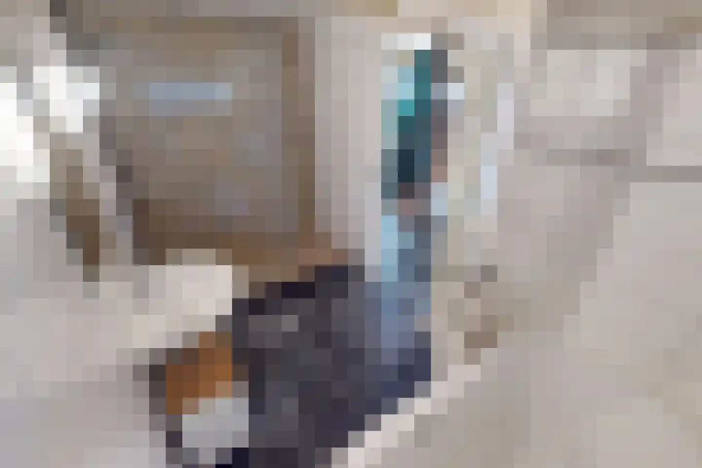 Drie Zalmen 14 Enkhuizen thumbnail 22