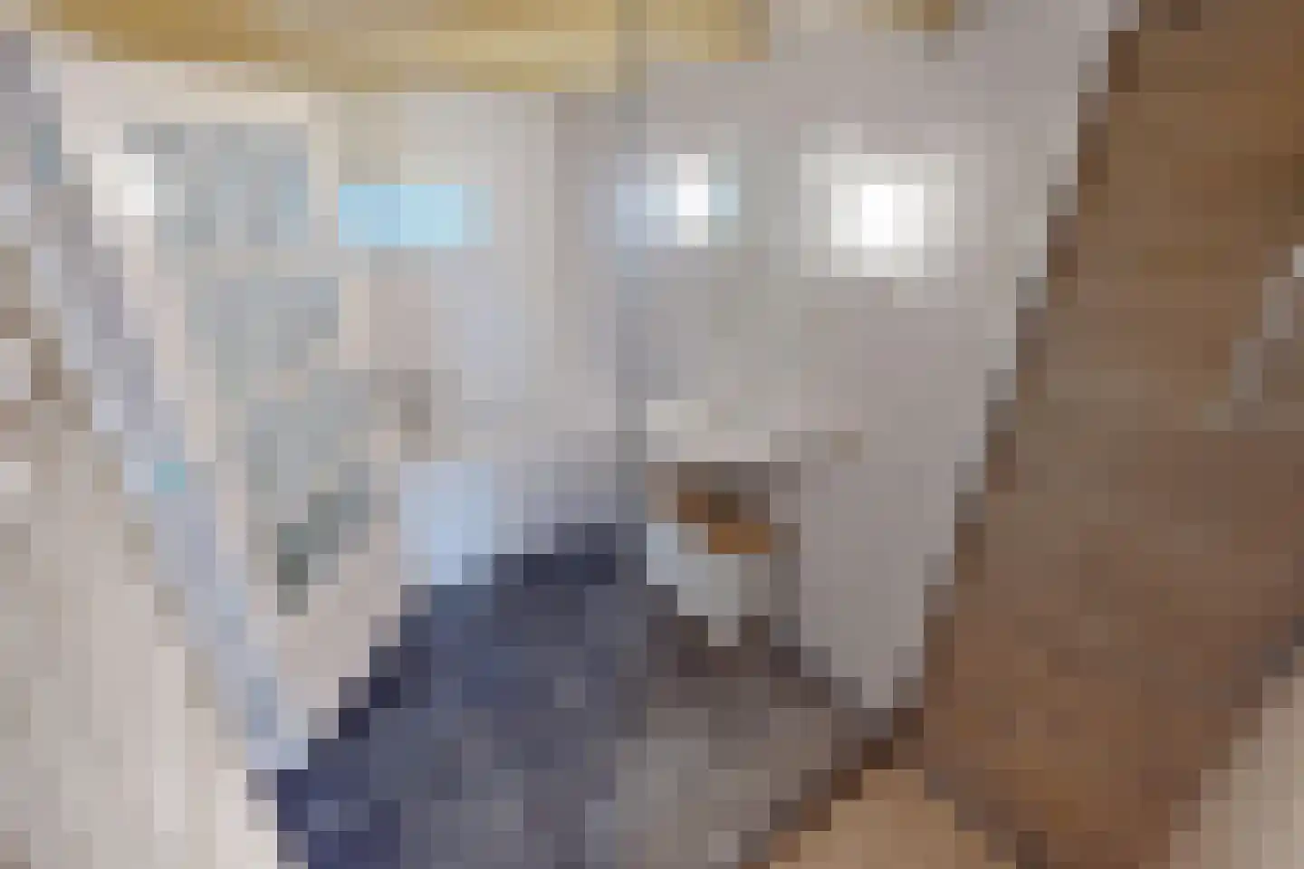 Drie Zalmen 14 Enkhuizen thumbnail 23