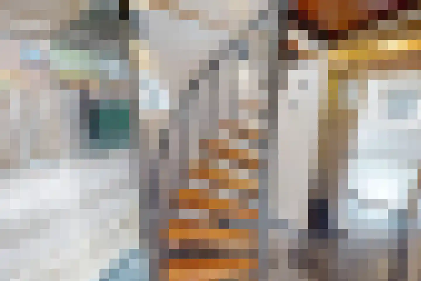 Drie Zalmen 14 Enkhuizen thumbnail 27