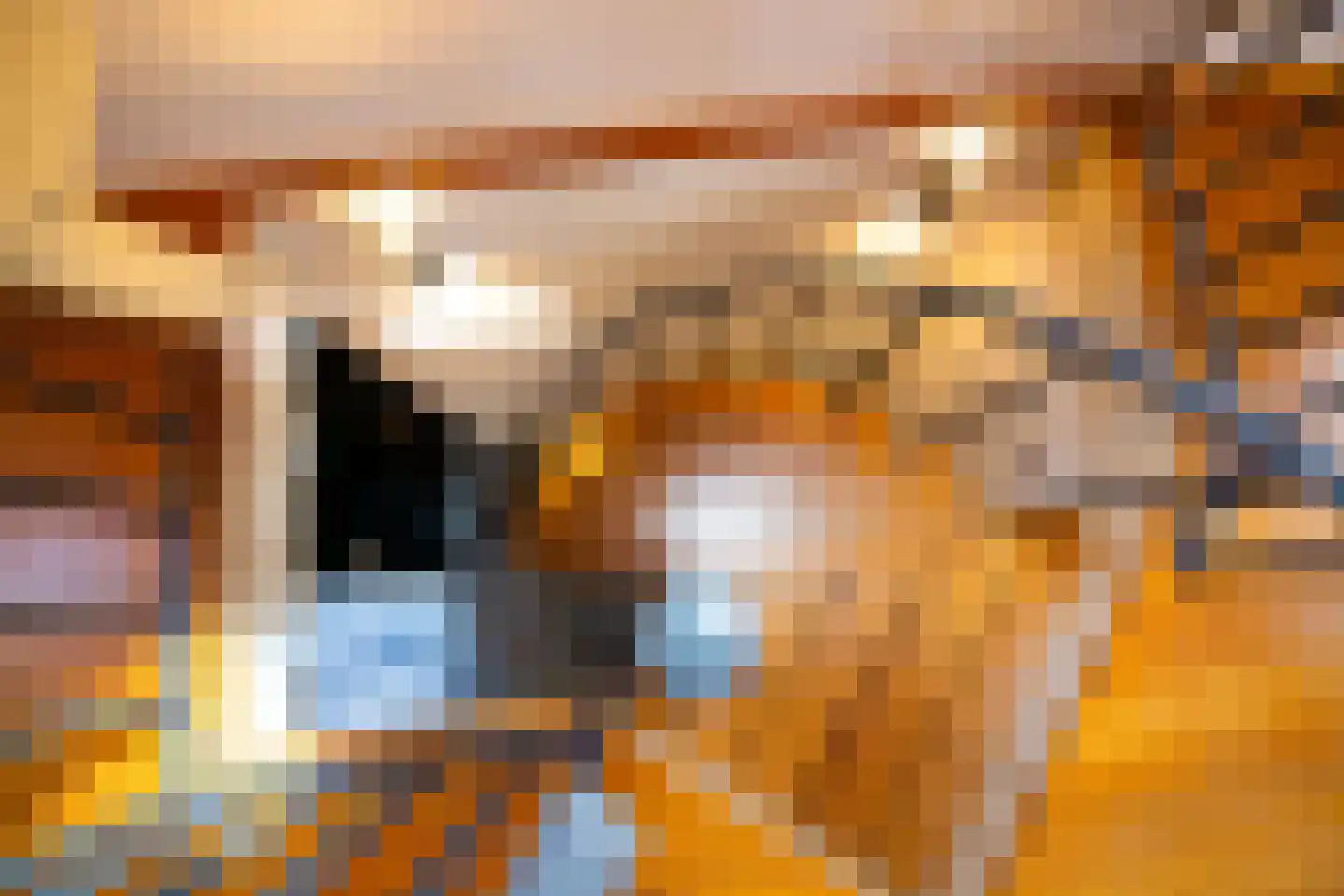Drie Zalmen 14 Enkhuizen thumbnail 28