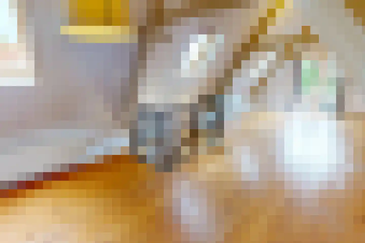 Drie Zalmen 14 Enkhuizen thumbnail 30