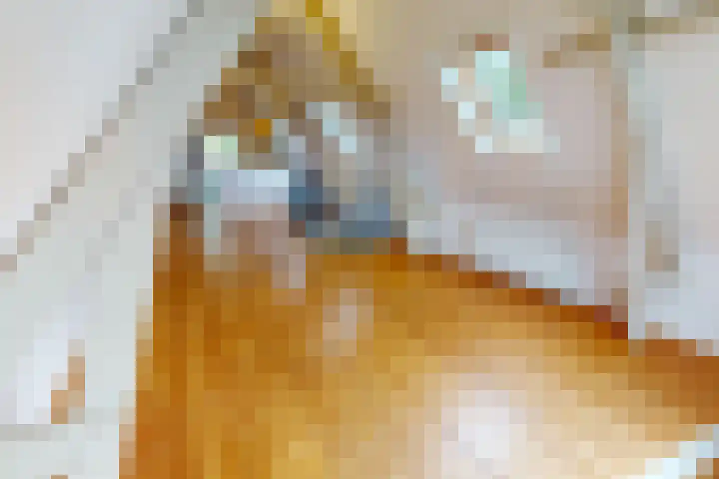 Drie Zalmen 14 Enkhuizen thumbnail 31