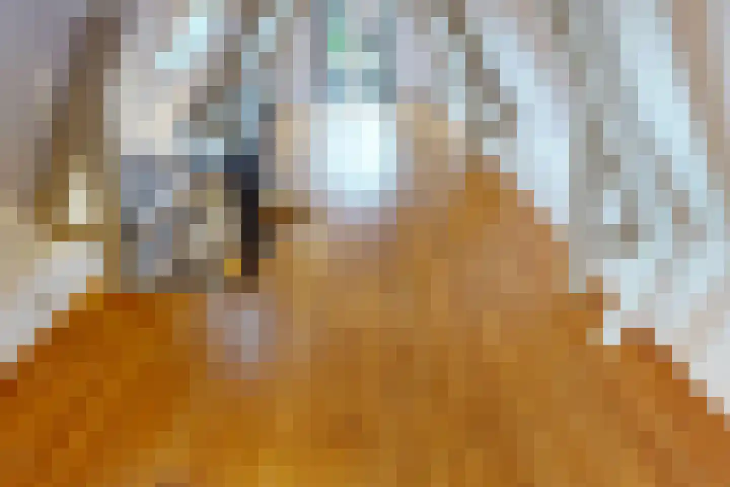 Drie Zalmen 14 Enkhuizen thumbnail 37