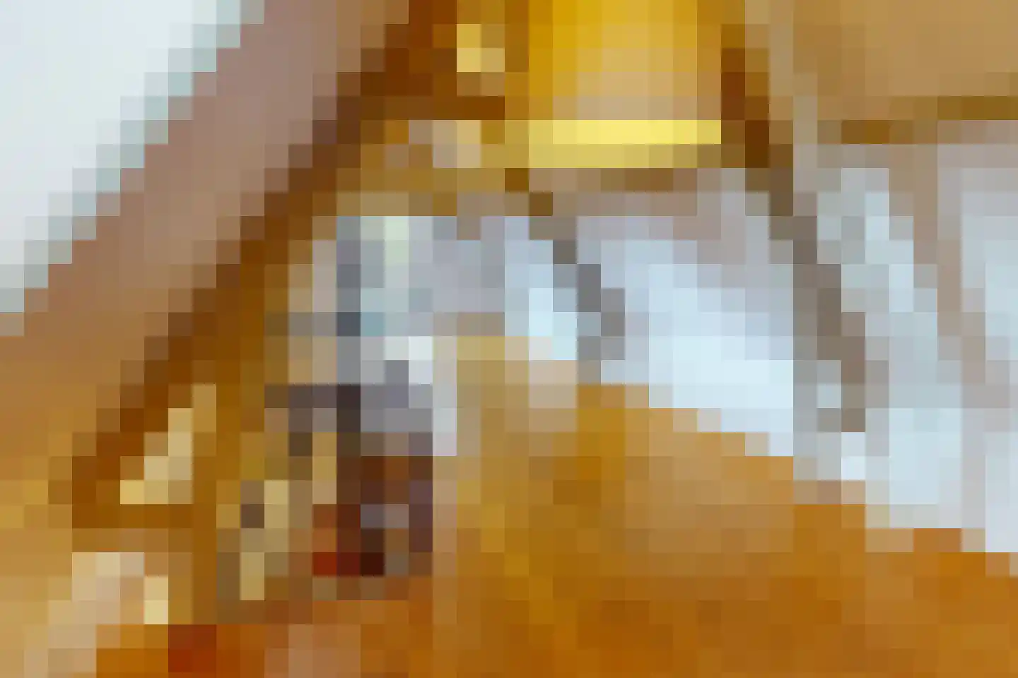 Drie Zalmen 14 Enkhuizen thumbnail 38