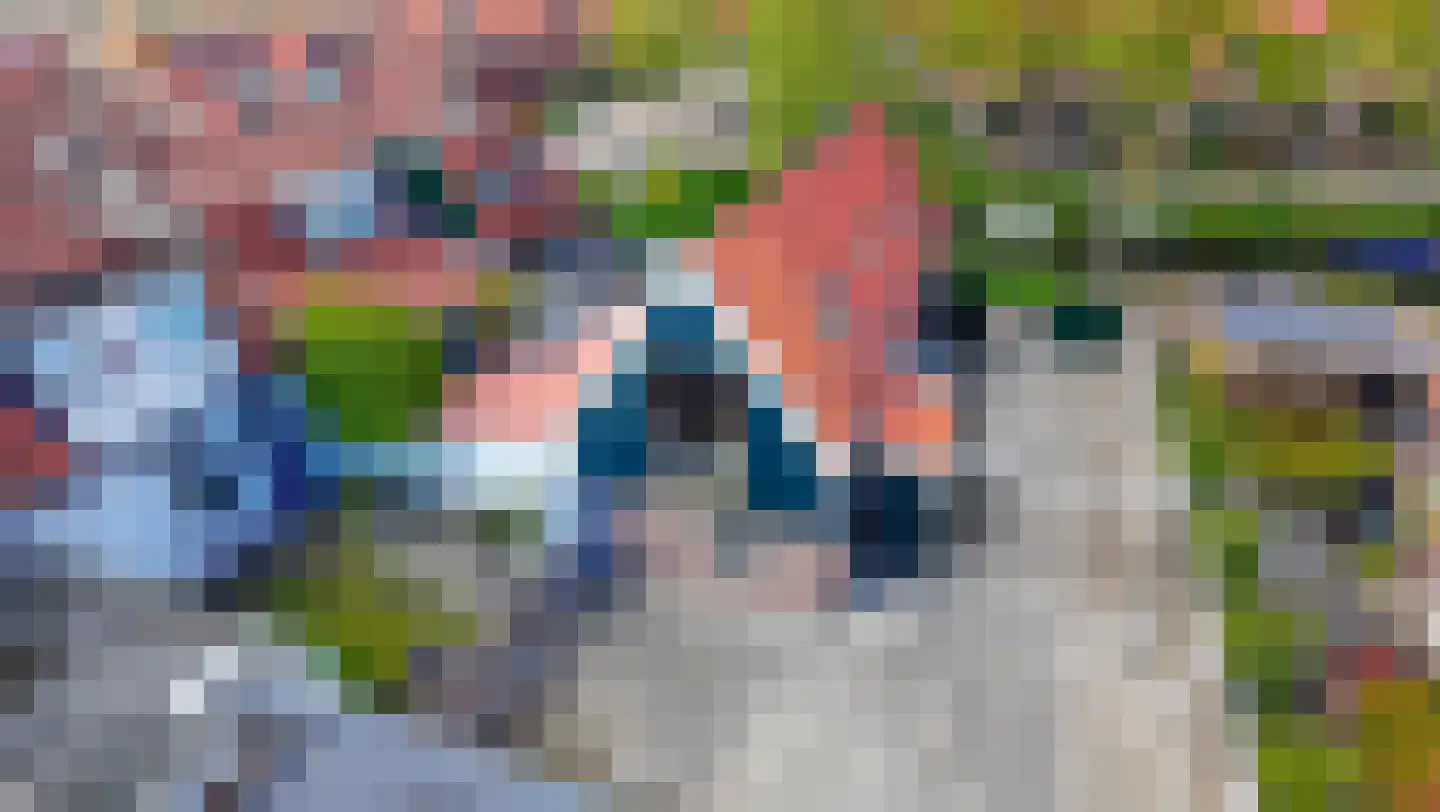 Drie Zalmen 14 Enkhuizen thumbnail 4