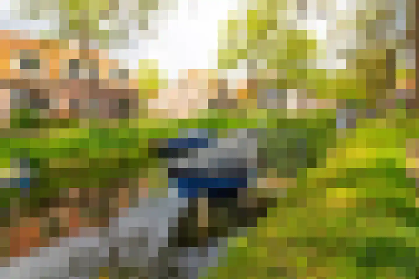 Drie Zalmen 14 Enkhuizen thumbnail 47