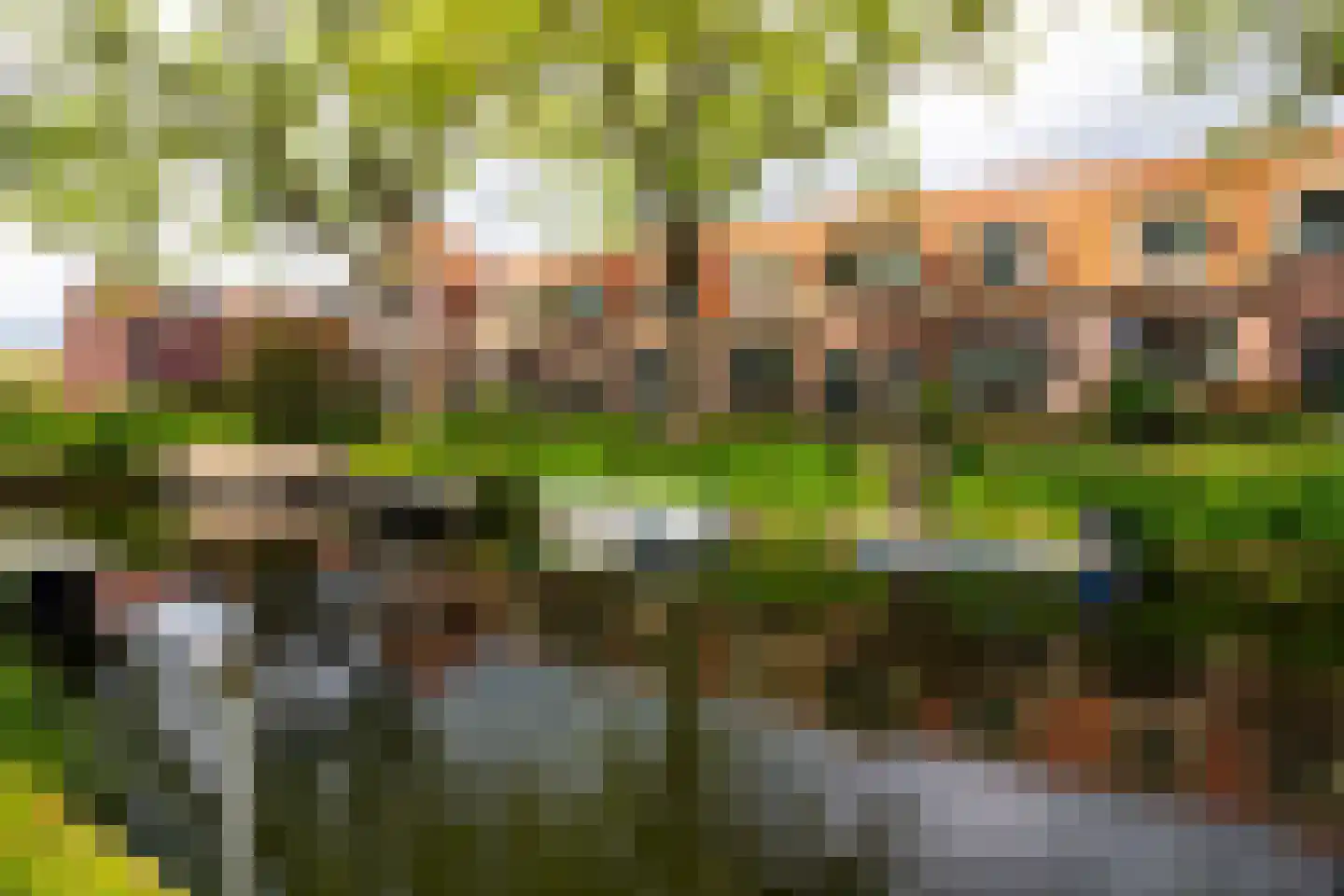 Drie Zalmen 14 Enkhuizen thumbnail 48