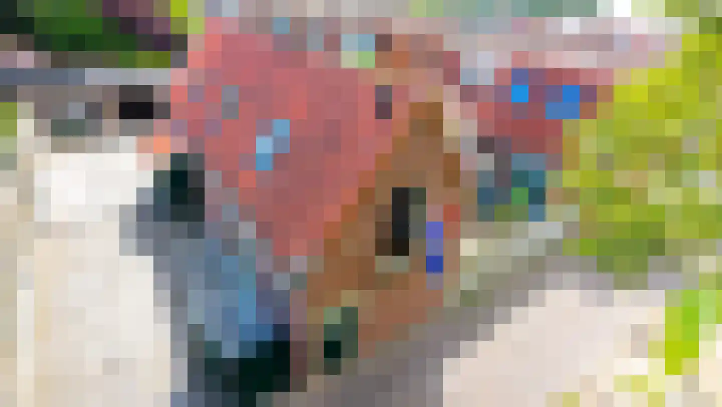 Drie Zalmen 14 Enkhuizen thumbnail 5