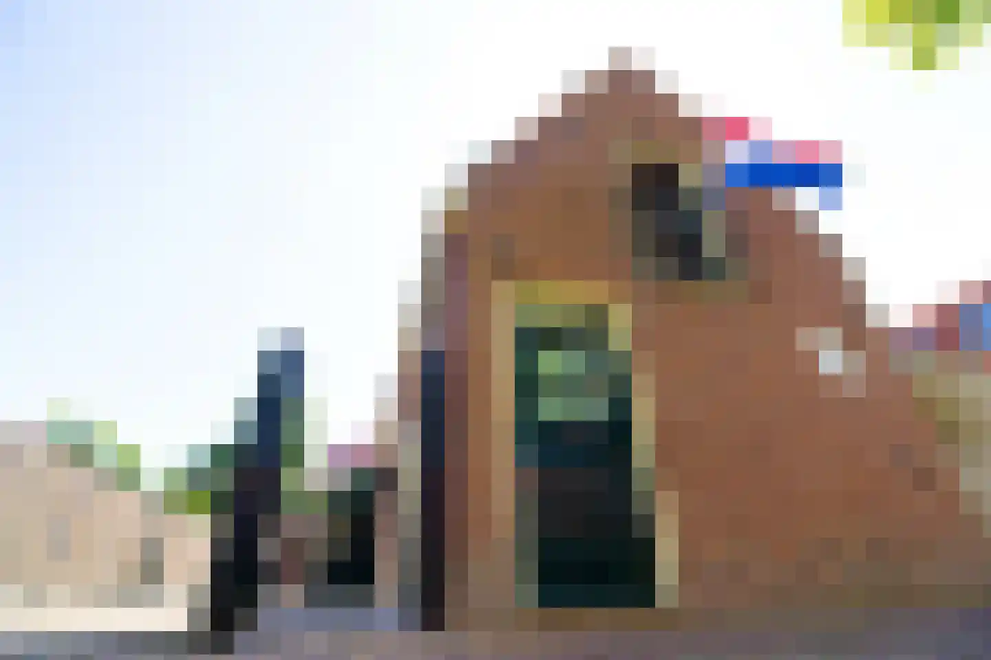 Drie Zalmen 14 Enkhuizen thumbnail 7