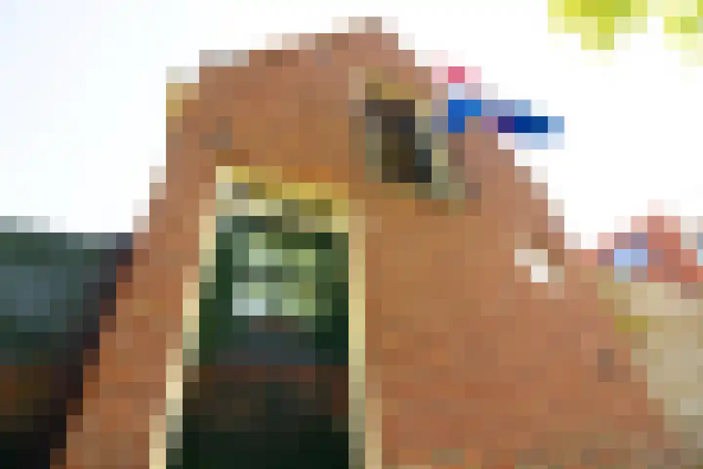 Drie Zalmen 14 Enkhuizen thumbnail 8