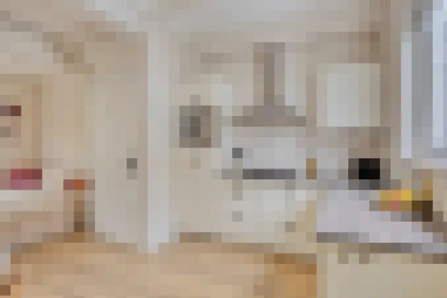 Driebanen 23 Enkhuizen thumbnail 15
