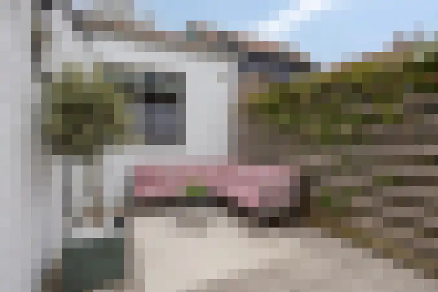 Driebanen 23 Enkhuizen thumbnail 25