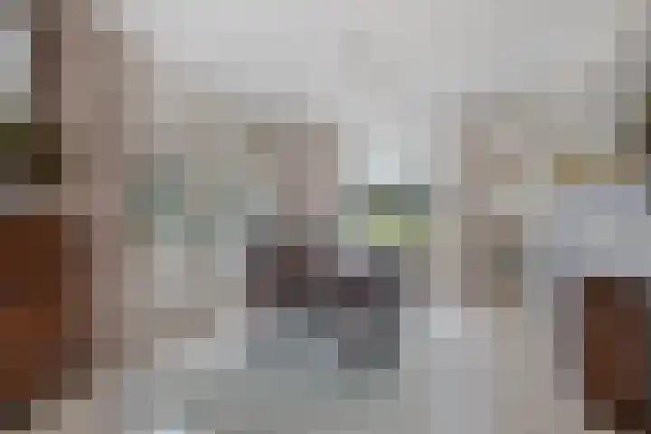Driebergenlaan 3 Rosmalen thumbnail 11