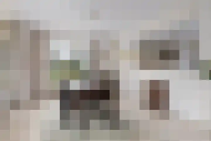 Driebergenlaan 3 Rosmalen thumbnail 12