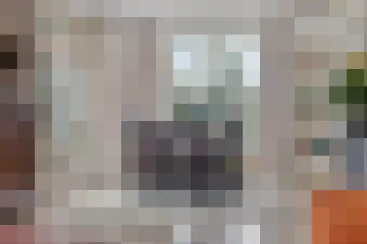 Driebergenlaan 3 Rosmalen thumbnail 13