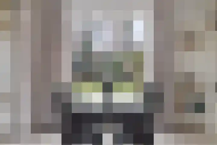 Driebergenlaan 3 Rosmalen thumbnail 15